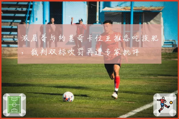 浓眉哥与约基奇卡位互推各吃技犯，裁判双标吹罚再遭专家批评