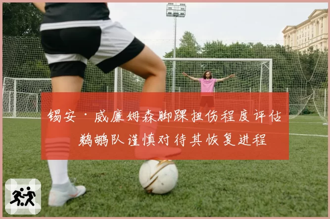 锡安·威廉姆森脚踝扭伤程度评估，鹈鹕队谨慎对待其恢复进程