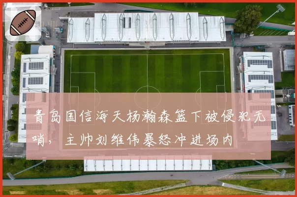 青岛国信海天杨瀚森篮下被侵犯无哨，主帅刘维伟暴怒冲进场内