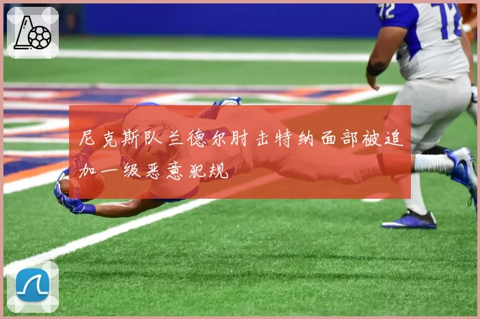 尼克斯队兰德尔肘击特纳面部被追加一级恶意犯规