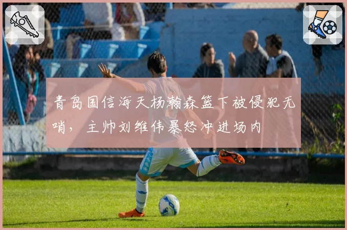 青岛国信海天杨瀚森篮下被侵犯无哨，主帅刘维伟暴怒冲进场内