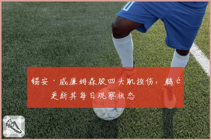 锡安·威廉姆森股四头肌挫伤，鹈鹕更新其每日观察状态