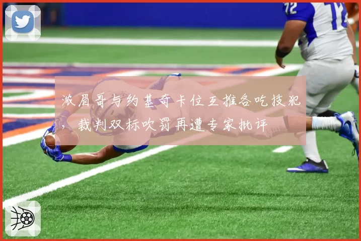 浓眉哥与约基奇卡位互推各吃技犯，裁判双标吹罚再遭专家批评
