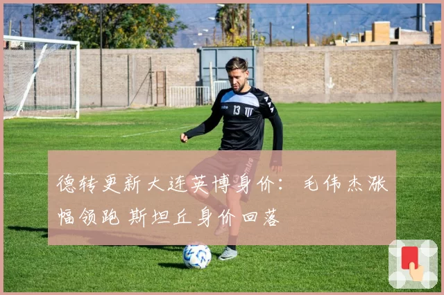 德转更新大连英博身价:毛伟杰涨幅领跑 斯坦丘身价回落