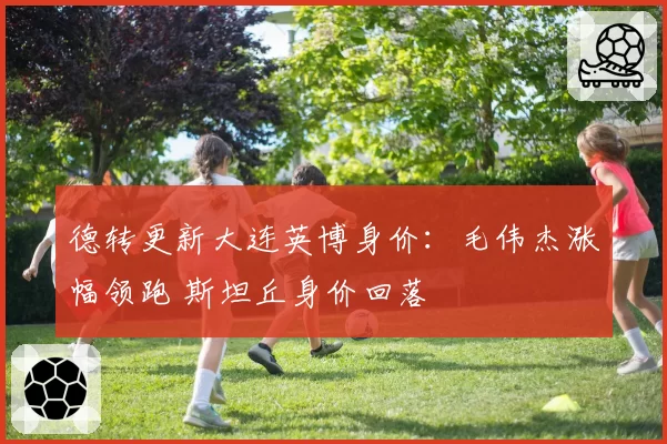 德转更新大连英博身价:毛伟杰涨幅领跑 斯坦丘身价回落