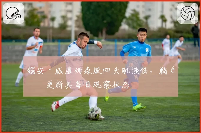 锡安·威廉姆森股四头肌挫伤,鹈鹕更新其每日观察状态